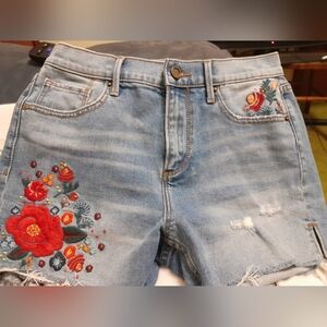 NWOT Driftwood Denim Shorts